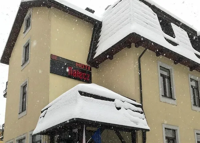 Hotel Nałęcz City Center Zakopane